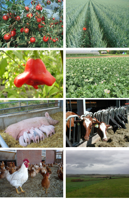 verschiedene Bilder zur Landwirtschaft