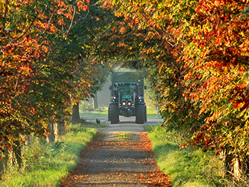 Traktor am Herbstmorgen