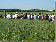 Menschengruppe in einem Getreidefeld