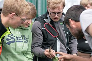 Auf dem Betrieb Nutt schauen sich die Schülerinnen und Schüler des BK Paderborn die Knöllchenbakterien der Ackerbohne genau an