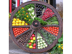Altes Wagenrad mit frischem Gemüse gefüllt