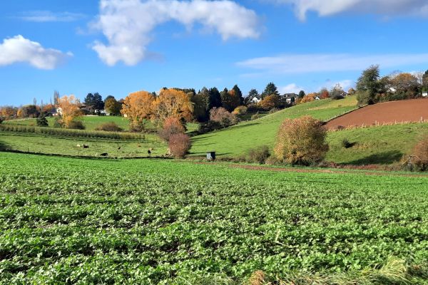Ackerflächen im Herbst