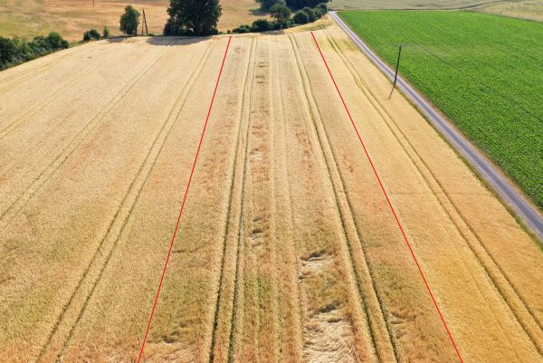 Kalkdemo: Zwischen roten Linien aufgekalkt