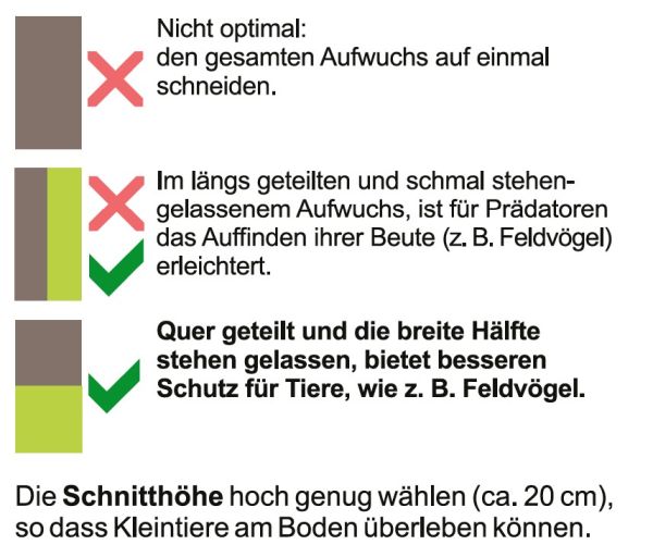 Staffelmahd