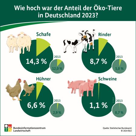 Anteil Ökotiere in Deutschland