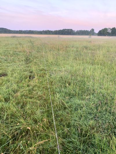 Vergleich der Mobgrazing-Weide