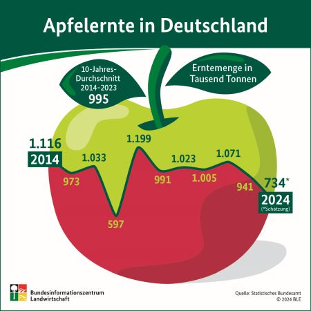 Infografik Apfelernte