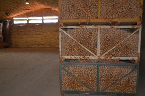 Kistenlager für Kartoffeln
