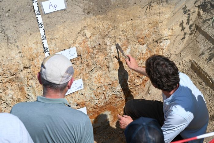 Ackerbaufeldtag Stautenhof Bodenprofil