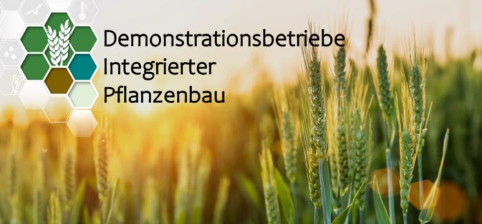 Demonstrationsbetriebe Integrierter Pflanzenbau