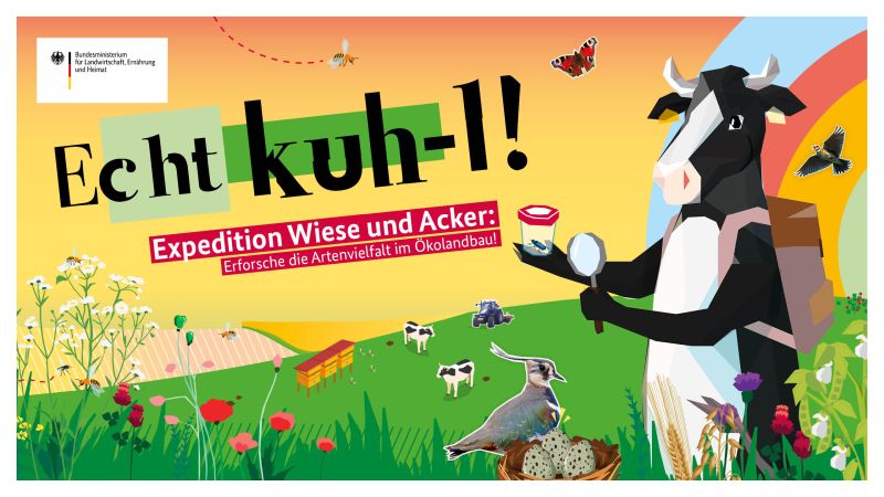Echt kuh-l Banner 2026