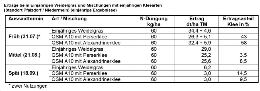 Einjähriges Weidelgras