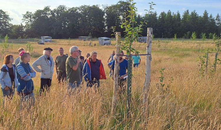 Agroforst auf dem Kremershof