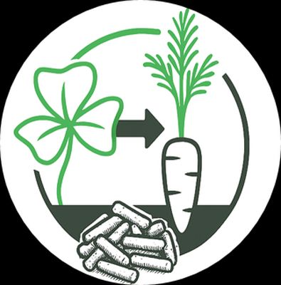 KleeValue-Logo