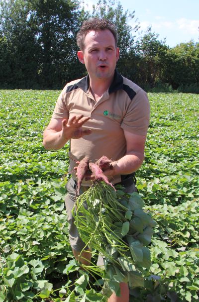 Joep van de Bool
