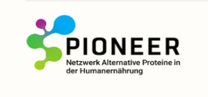 Pioneer Logo