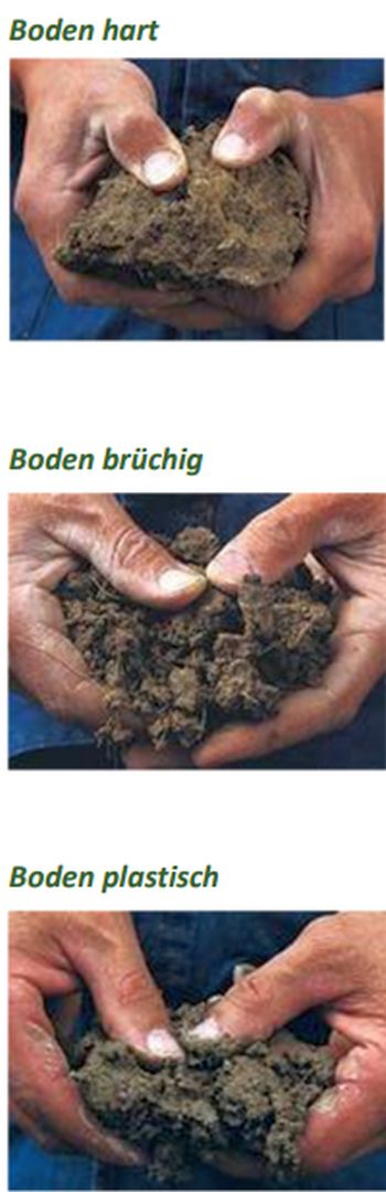 Bodenzustand prüfen