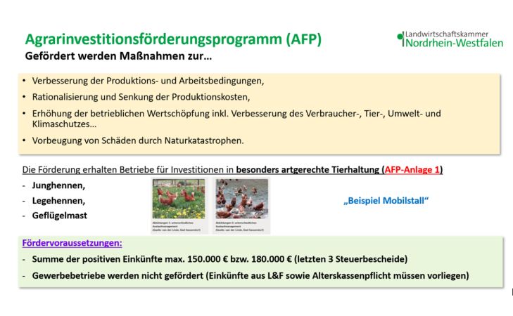 AFP Programmübersicht