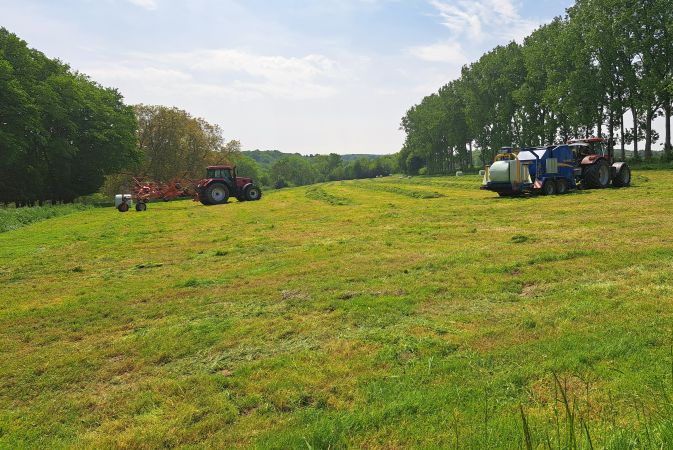 Grasernte Silageballen