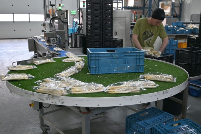 Spargel sortieren