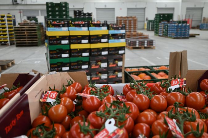 Tomaten