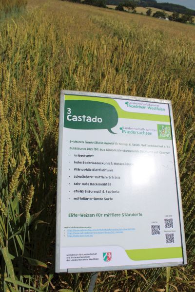 Ökoweizen Castado