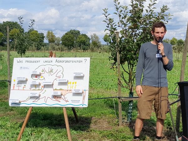 Agroforst Steinfurt Große Kleimann