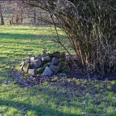 Steinhaufen für Kleintiere