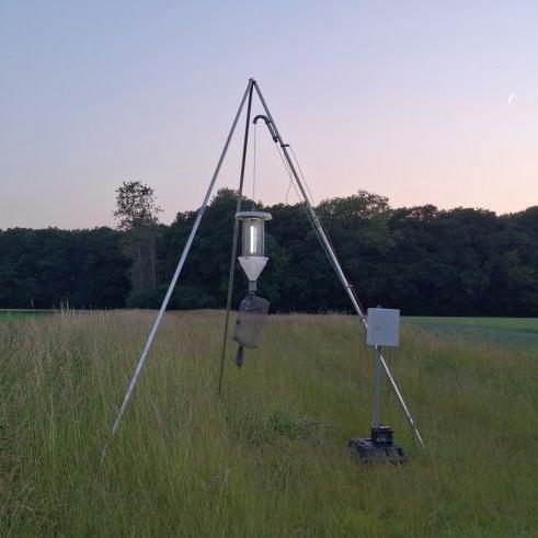 Lichtfalle für Maiszünsler