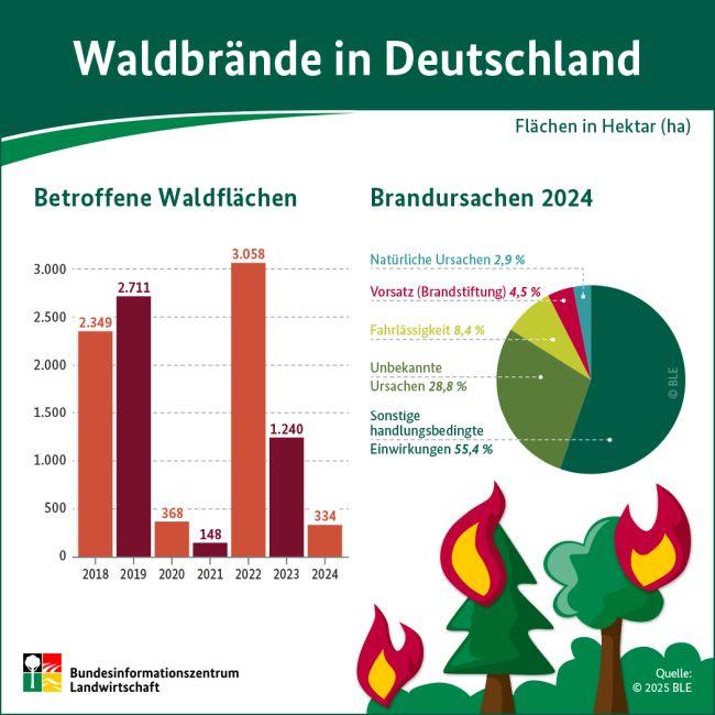 Waldbrände in Deutschland