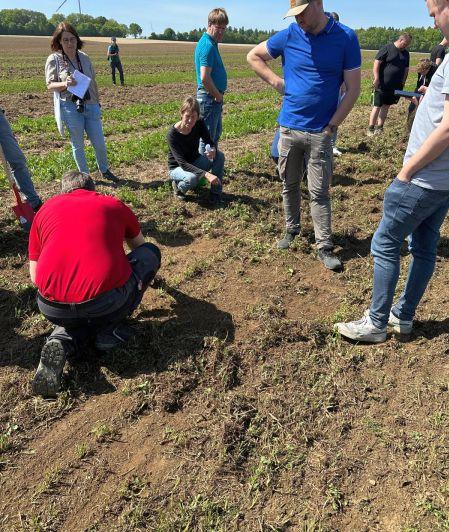 Begutachtung des Arbeitsbildes