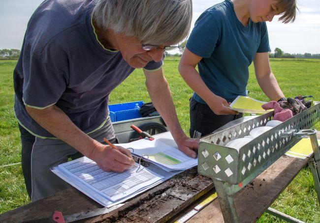 FNR-Moorbödenprojekt
