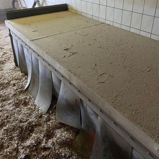 Staub im Ferkelstall
