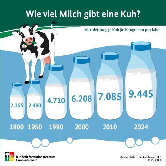 Grafik Milchmenge pro Kuh