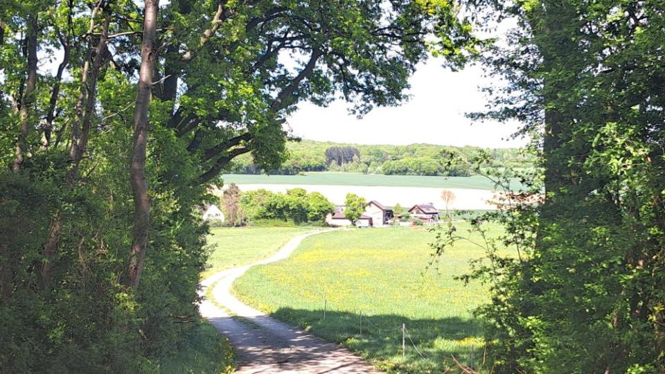 Blick auf einen Bauernhof