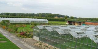 Versuchszentrum Gartenbau in Auweiler