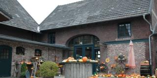 Hof im Herbst