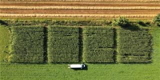 Drohnenaufnahme der Feldversuche, Foto: Hannah Fischer, LWK NRW