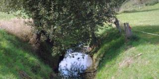 Bachlauf Abstand zur Weide