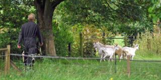 Agroforst Reallabor Kooperation Hogefelderhof