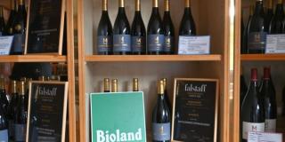 Weine von der Maibachfarm