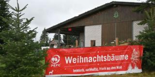 Weihnachtsbaumhof