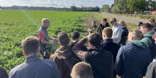 Schülergruppe in den Buschbohnen