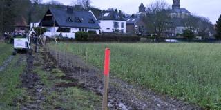 Agroforstanlage Kleve