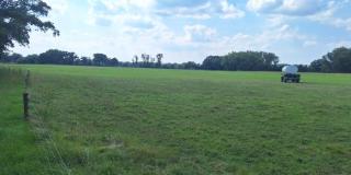 Waldweide in Canitz