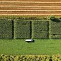 Drohnenaufnahme der Feldversuche, Foto: Hannah Fischer, LWK NRW