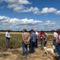 Foto: Sarina Hertel, Landwirtschaftskammer Nordrhein-Westfalen