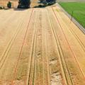 Kalkdemo: Zwischen roten Linien aufgekalkt